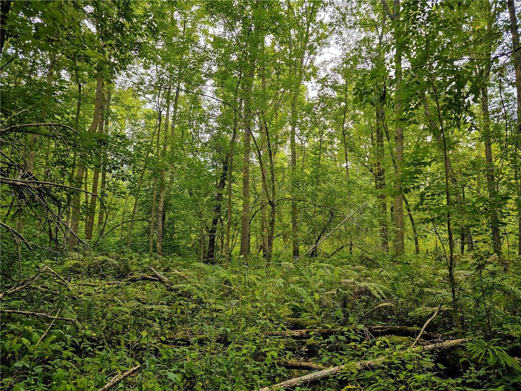 17279 284th St Sebeka MN 56477 - Red Eye River 6775380 image20