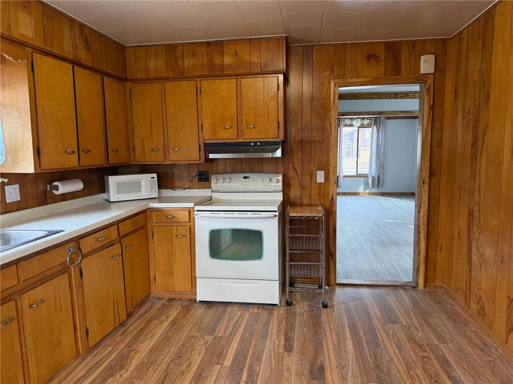 173 Main Street N Blackduck MN 56630 7039713 image15