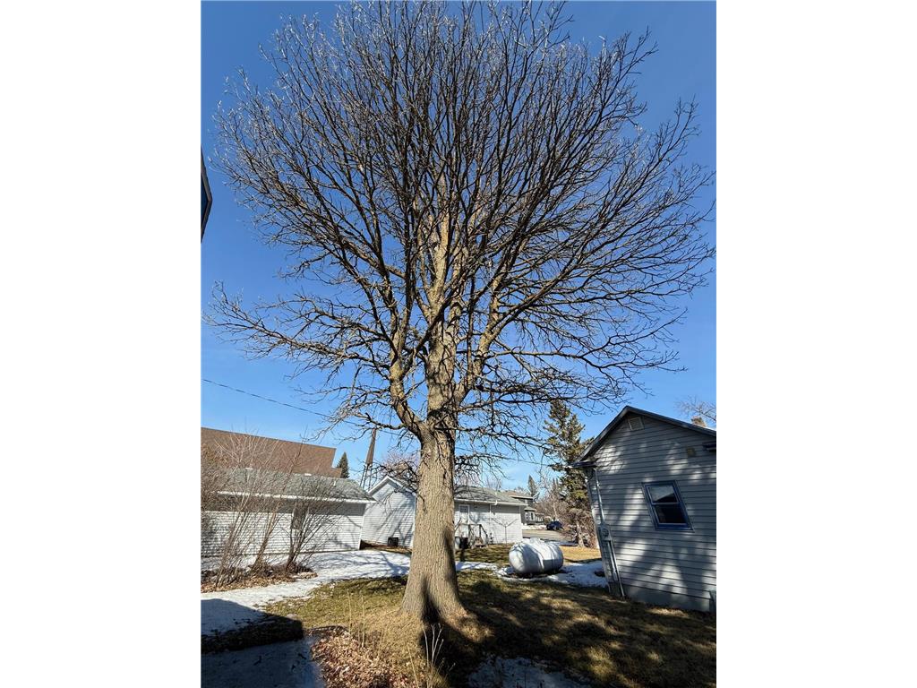 173 Main Street N Blackduck MN 56630 7039713 image9