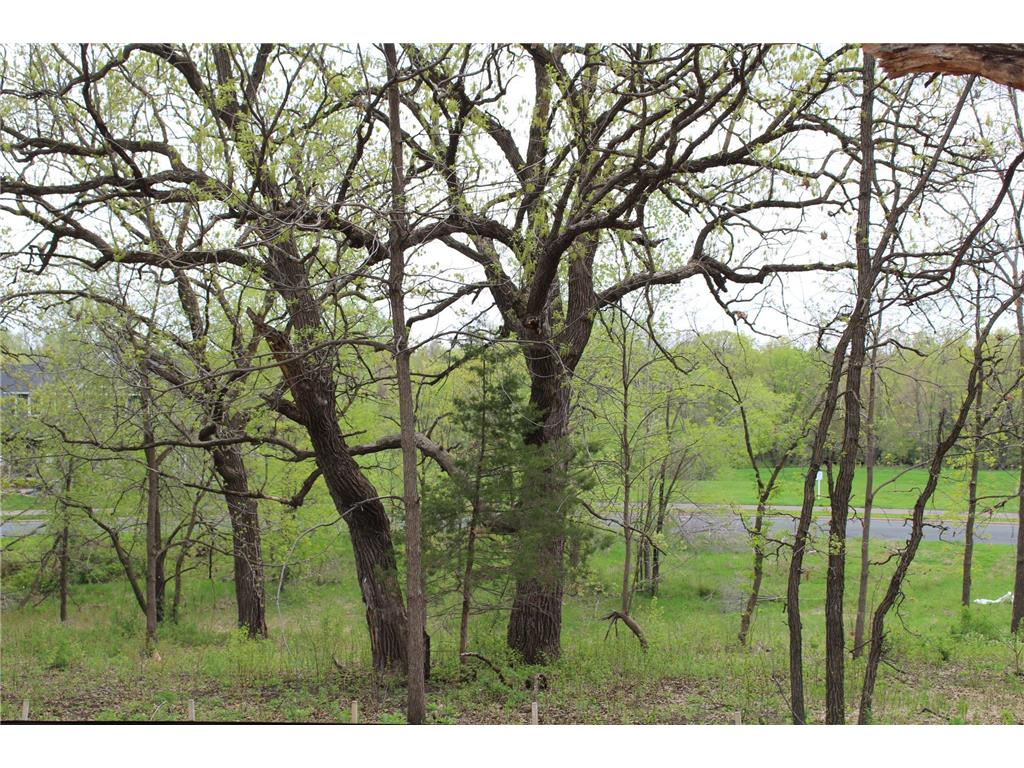 1730 River Shore Drive Hastings MN 55033 6674308 image10