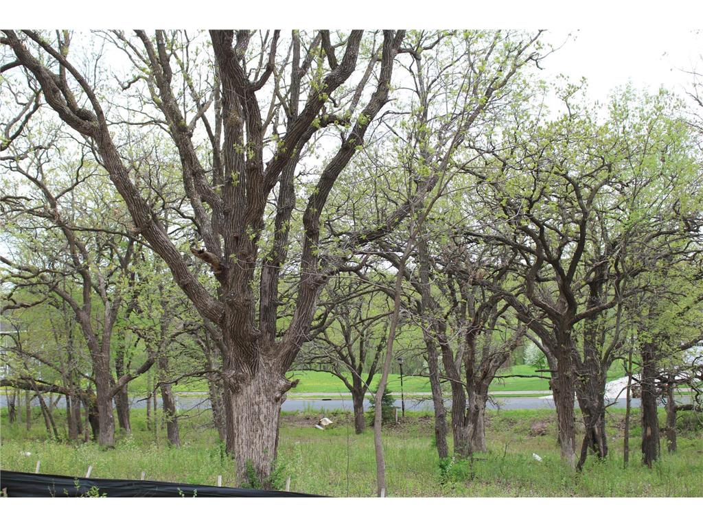 1730 River Shore Drive Hastings MN 55033 6674308 image11