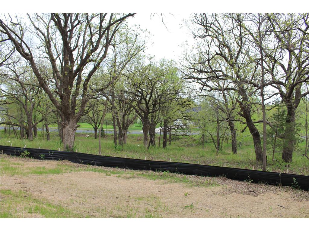 1730 River Shore Drive Hastings MN 55033 6674308 image12