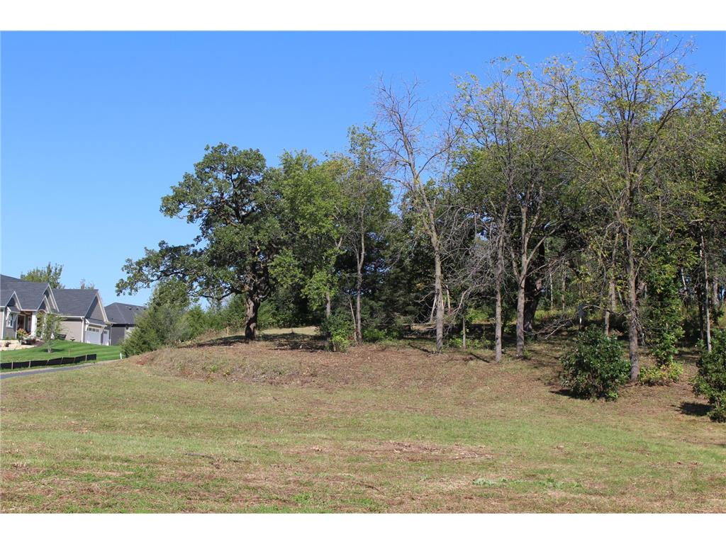 1730 River Shore Drive Hastings MN 55033 6674308 image3