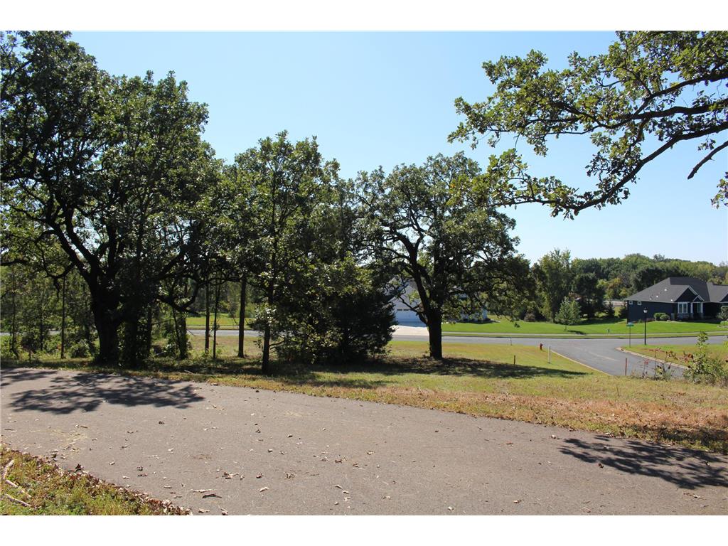 1730 River Shore Drive Hastings MN 55033 6674308 image5