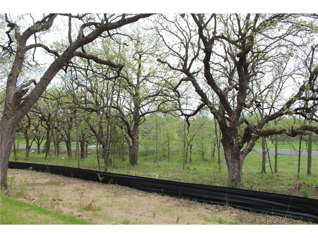 1730 River Shore Drive Hastings MN 55033 6674308 image8