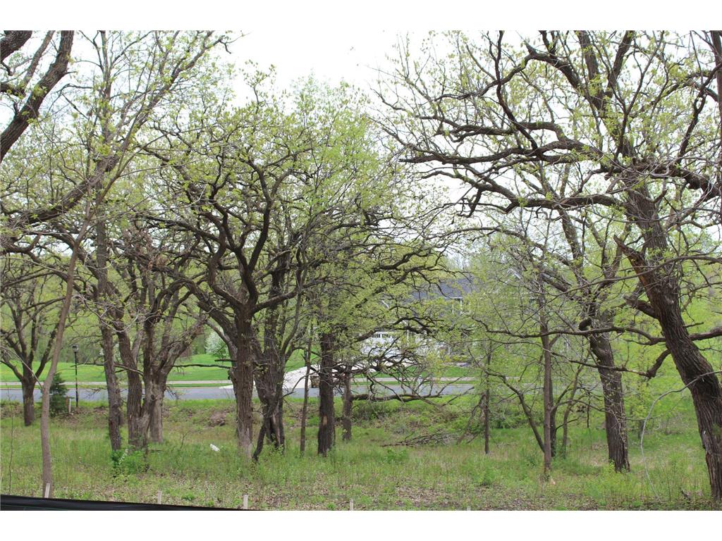 1730 River Shore Drive Hastings MN 55033 6674308 image9