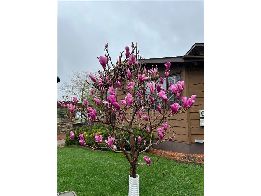 1730 Stone Avenue Benson MN 56215 7033191 image48