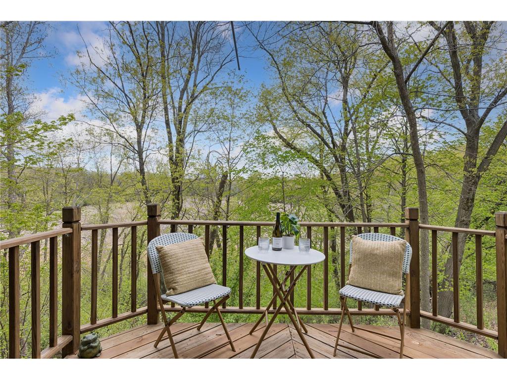 1731 Oakways Street Minnetonka MN 55391 6825469 image26