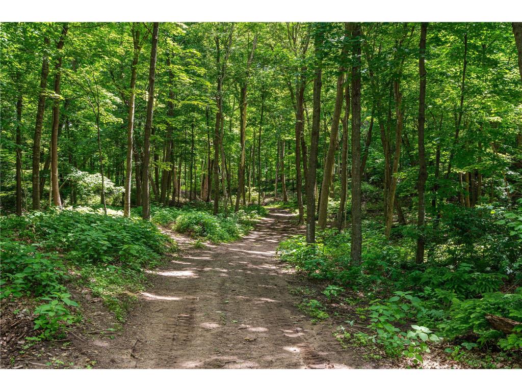 1732 Wilderness Hills Luck WI 54853 7098511 image41