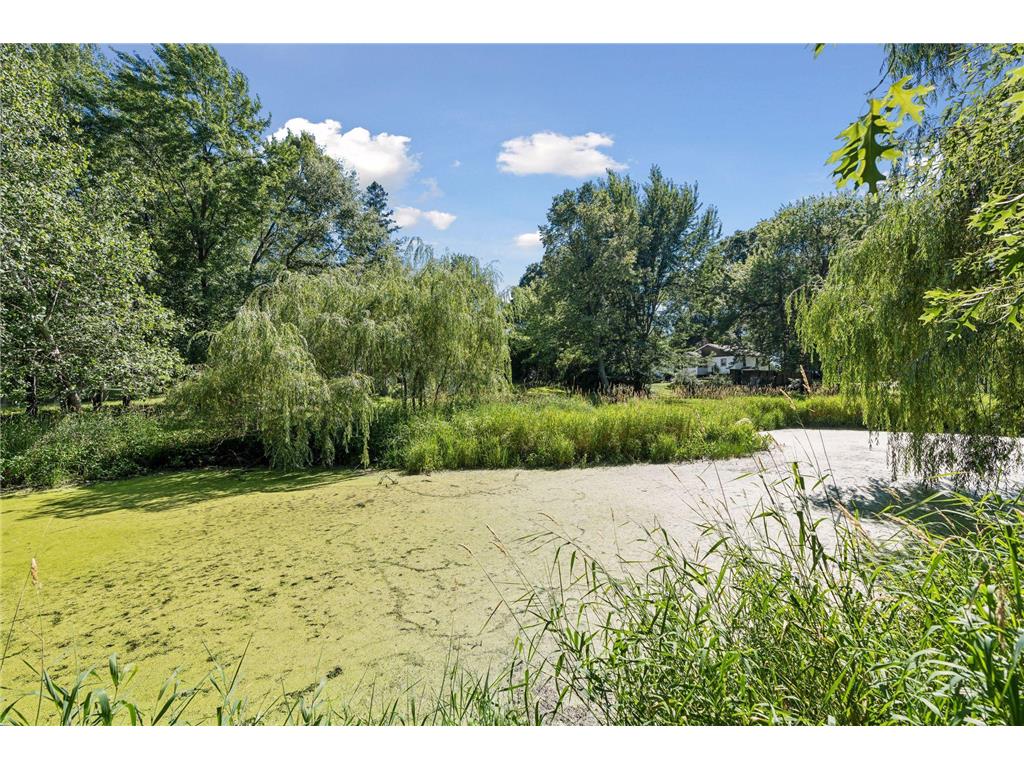 17320 Staples Street NE Andover MN 55304 7109030 image47