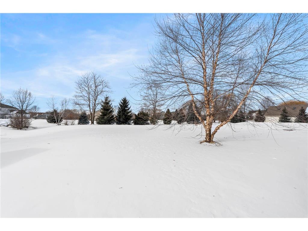 17330 Bataan Street NE Ham Lake MN 55304 6808835 image30