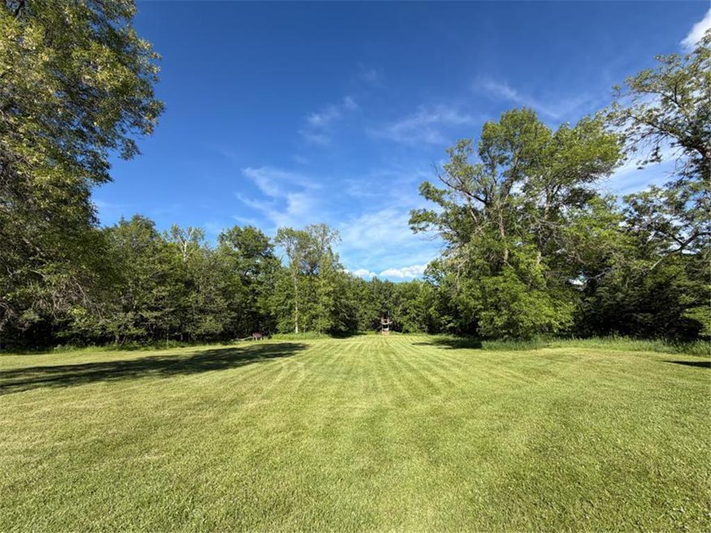 17332 295th Avenue Lakeside Twp MN 56342 7084953 image19