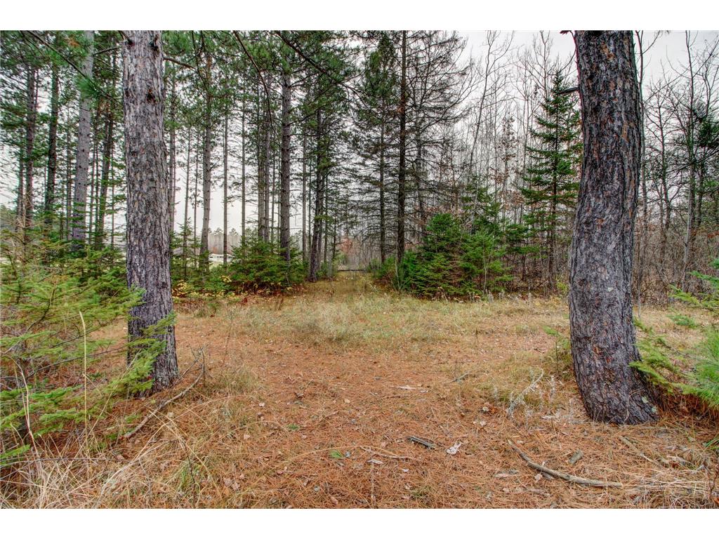 17333 169th Avenue Park Rapids MN 56470 7037705 image32