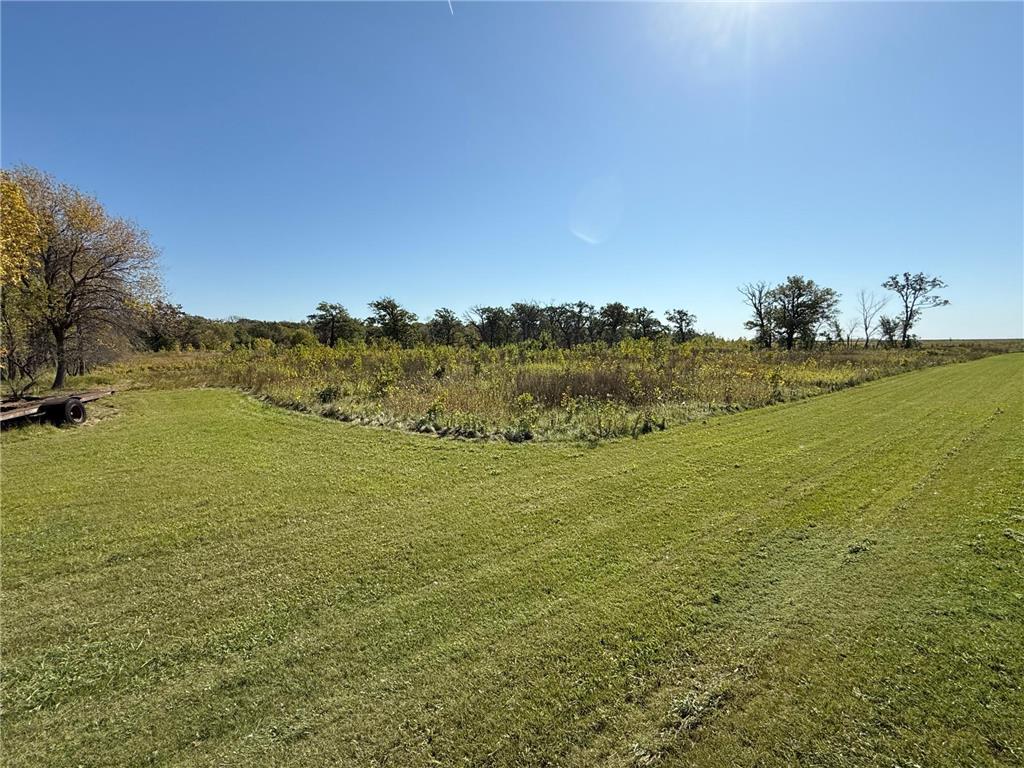 1734 130th Avenue Lee Twp MN 56574 - Wild Rice River 6797910 image30
