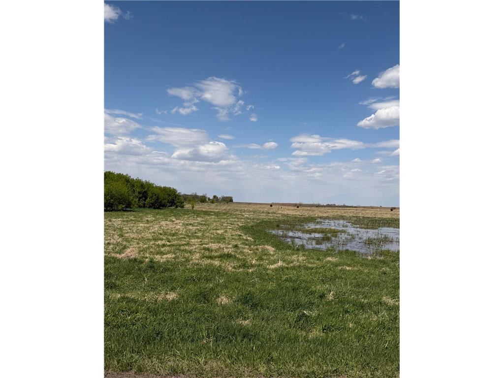 1734 40th Street Ceylon MN 56121 7040288 image4