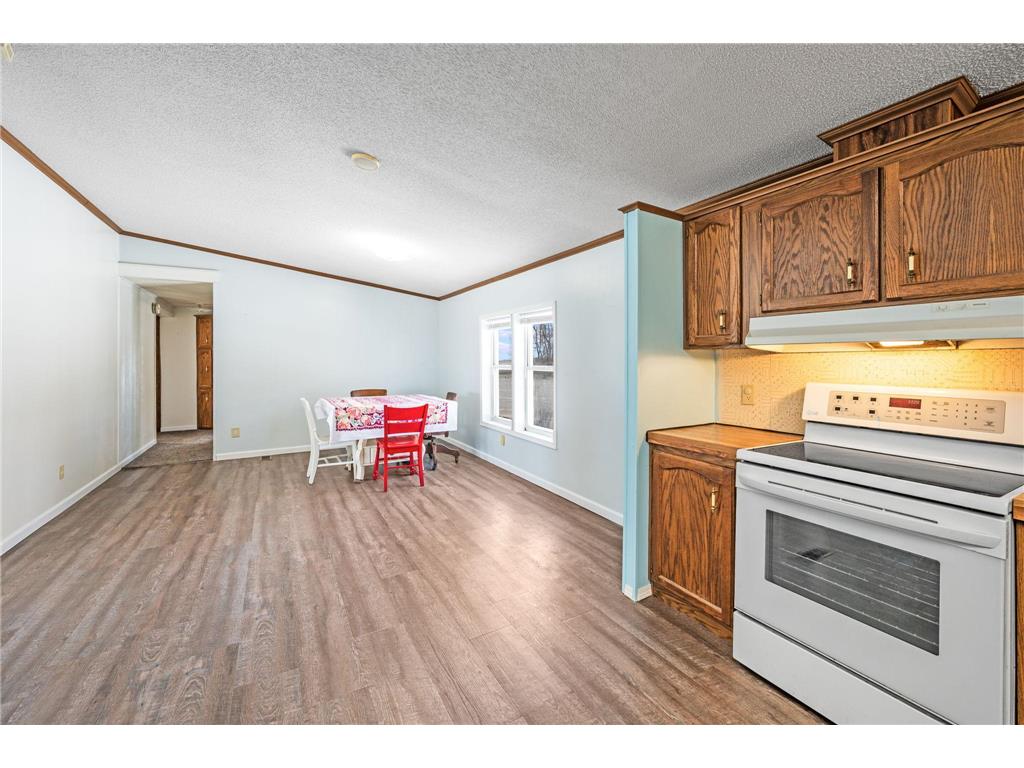 1734 40th Street Ceylon MN 56121 7040288 image9