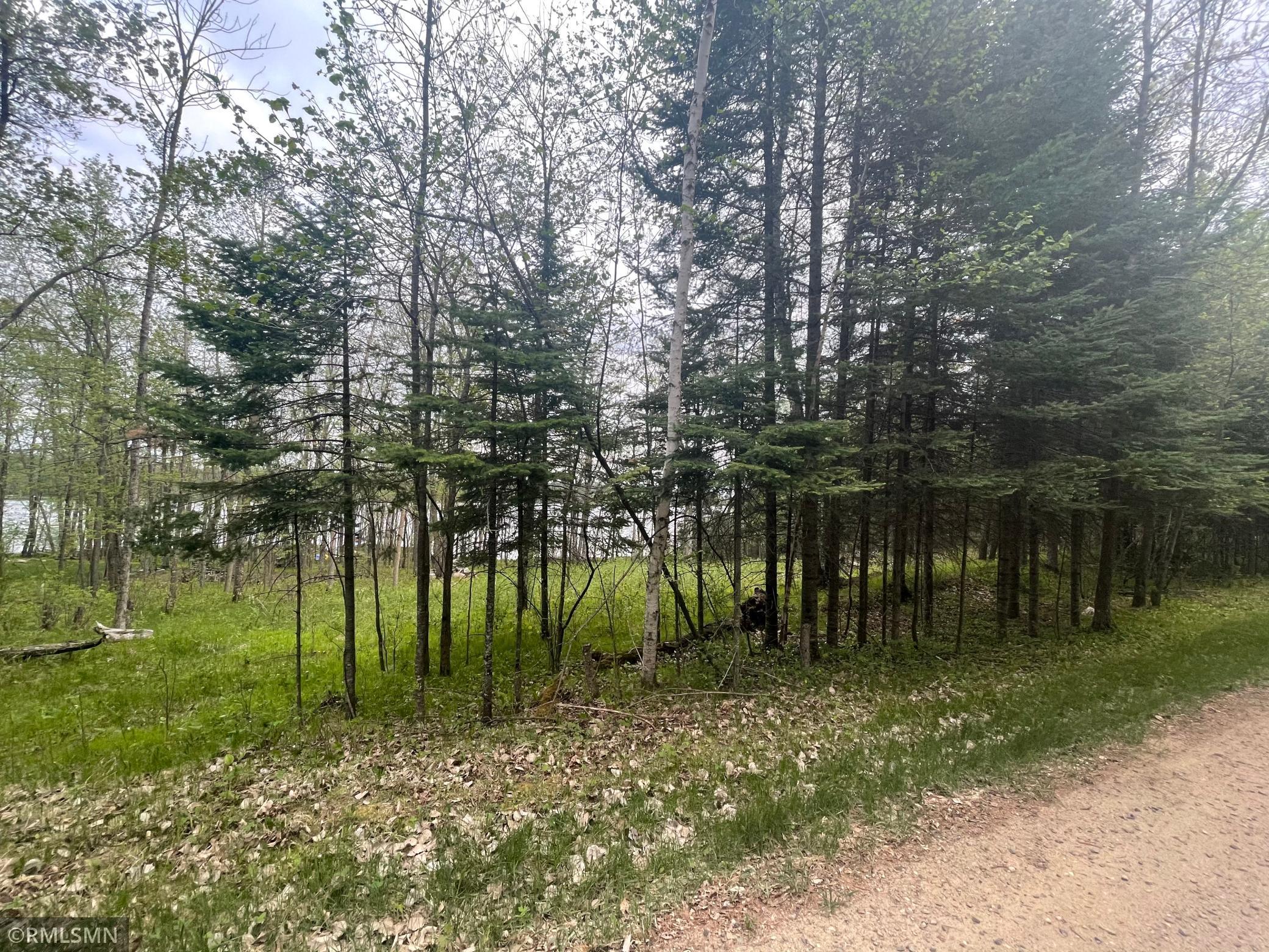 17343 N Mitchell Lake Road, Fifty Lakes, MN 56448 MLS 5760030