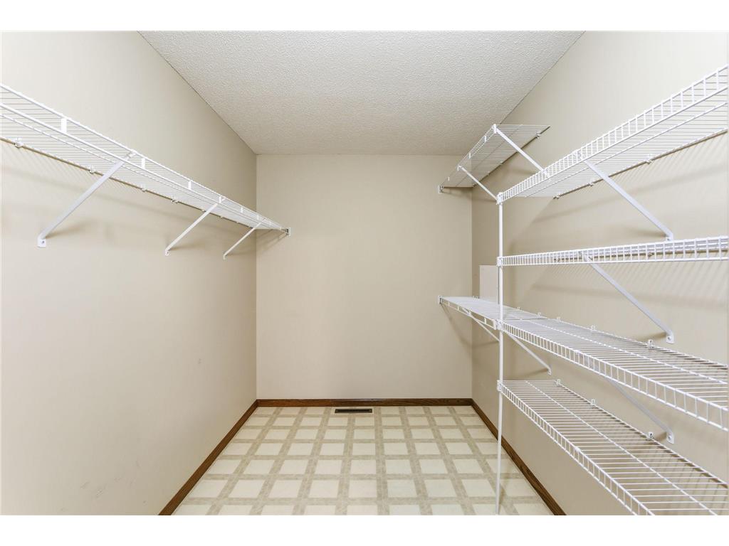 1735 Carleton Drive Hastings MN 55033 7054179 image22