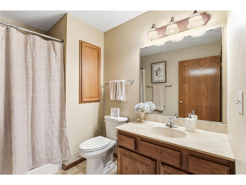 1735 Carleton Drive Hastings MN 55033 7054179 image23