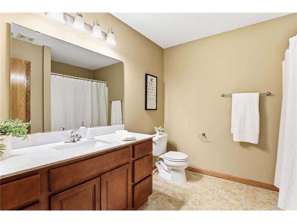 1735 Carleton Drive Hastings MN 55033 7054179 image30