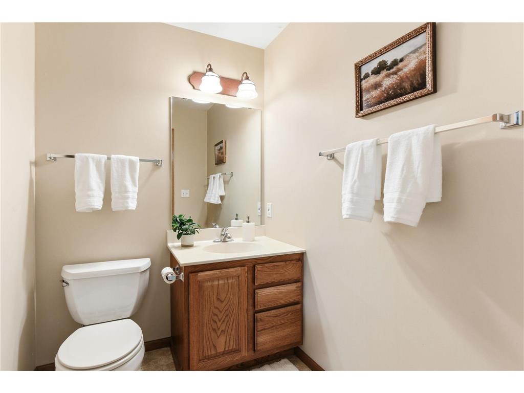 1735 Carleton Drive Hastings MN 55033 7054179 image9