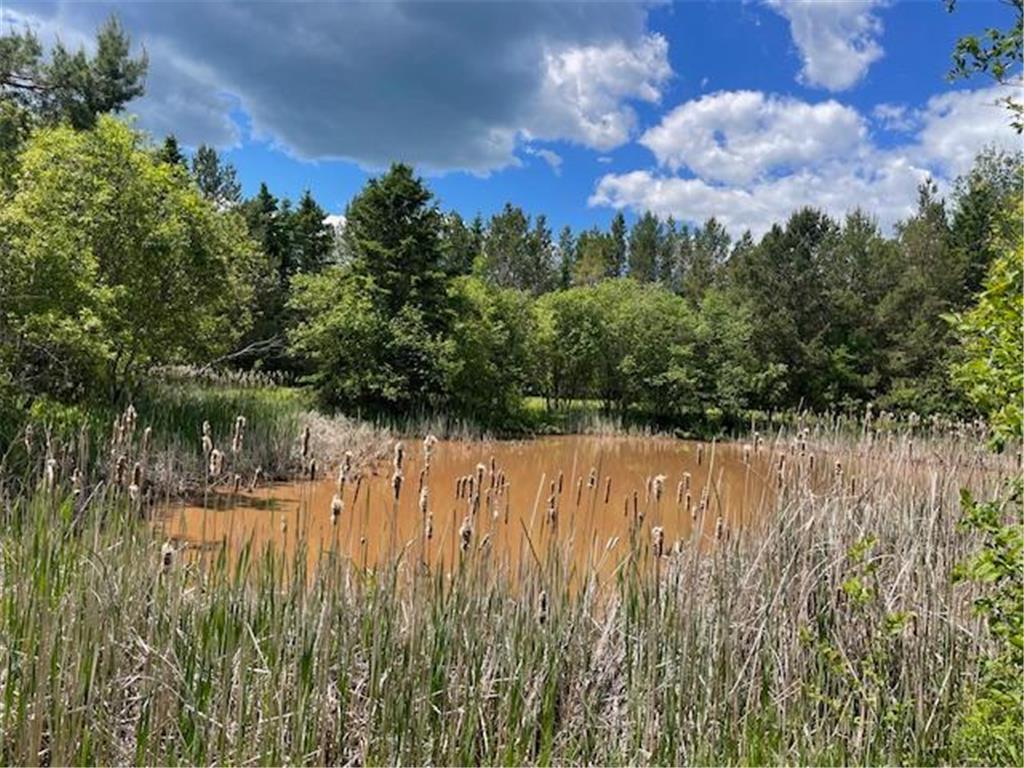 1735 Highway 12 Two Harbors MN 55616 7072048 image32