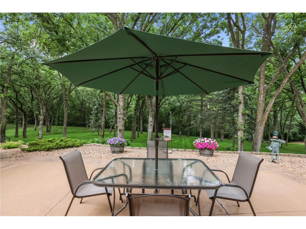 17350 173rd Street SE Becker Twp MN 55309 7098682 image41