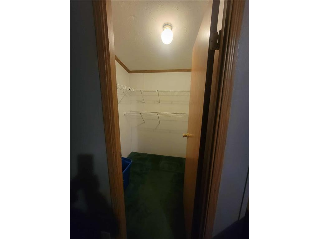 17350 Banyan Road Shafer MN 55074 6824751 image11