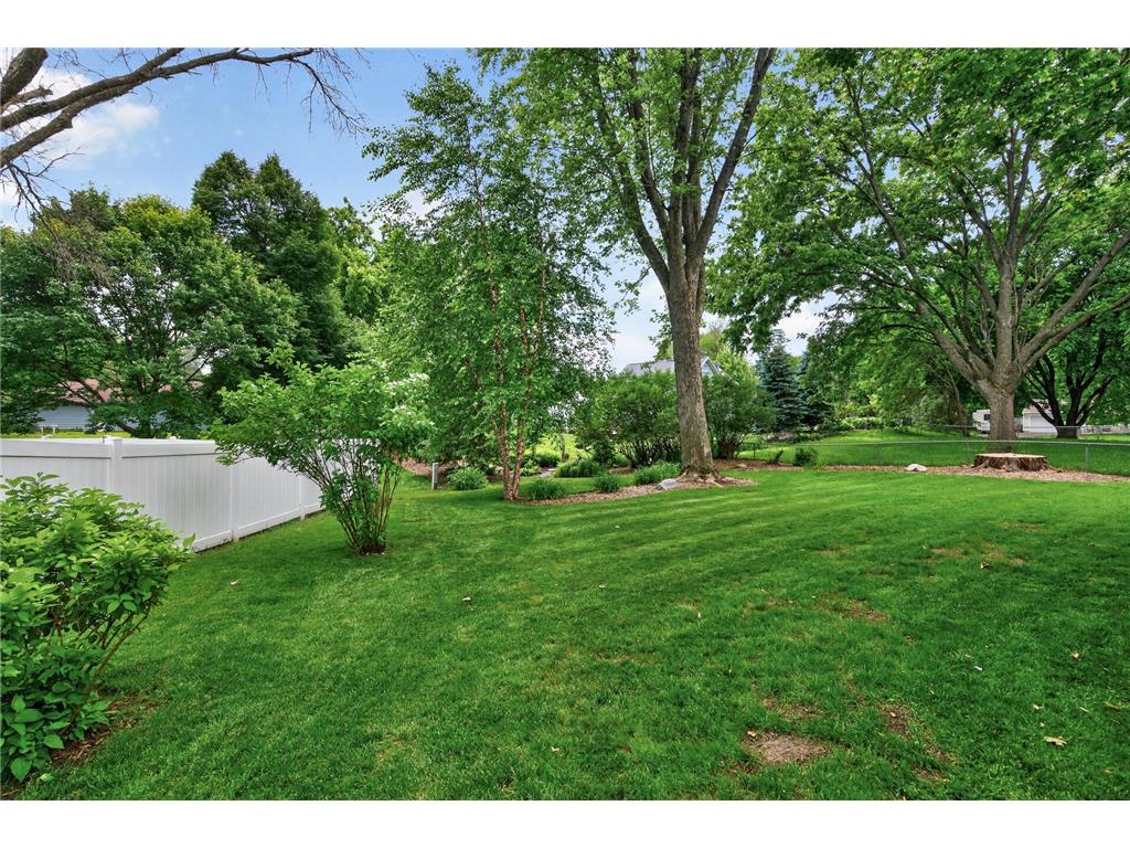 17351 Barberry Circle Eden Prairie MN 55346 7096102 image25