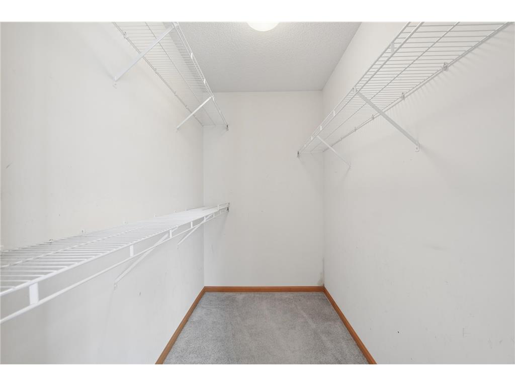 17352 Homestead Trail Lakeville MN 55044 7041266 image27