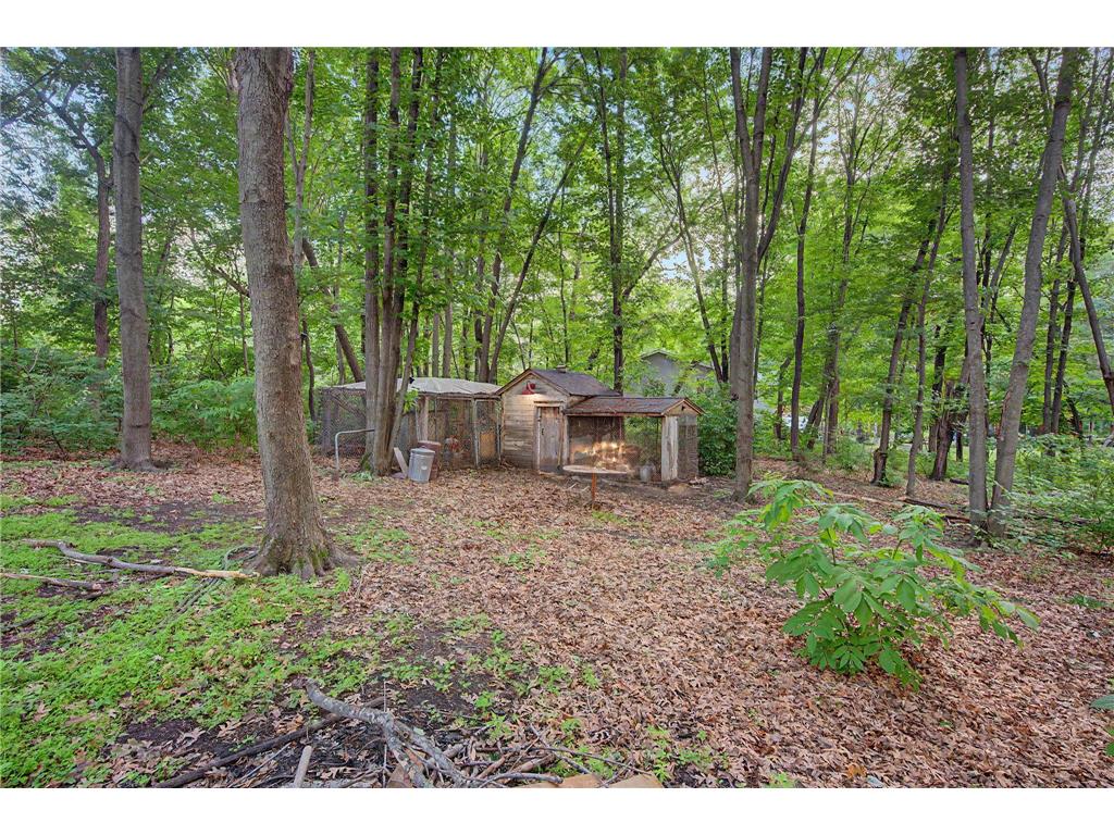 17356 Hiawatha Beach Drive NE Ham Lake MN 55304 - Little Coon 7089098 image25