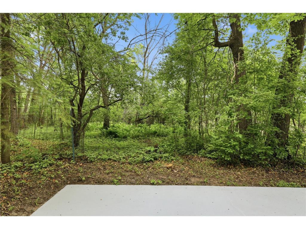 17360 205th Avenue NW Big Lake MN 55309 7070483 image34