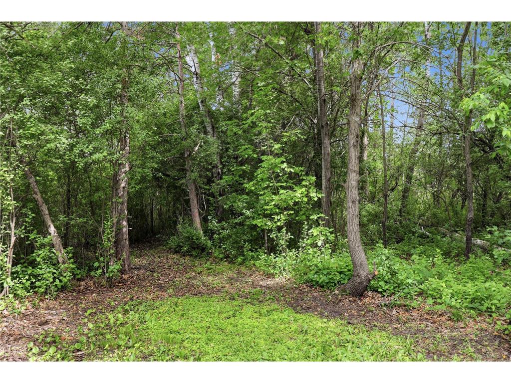17360 205th Avenue NW Big Lake MN 55309 7070483 image41