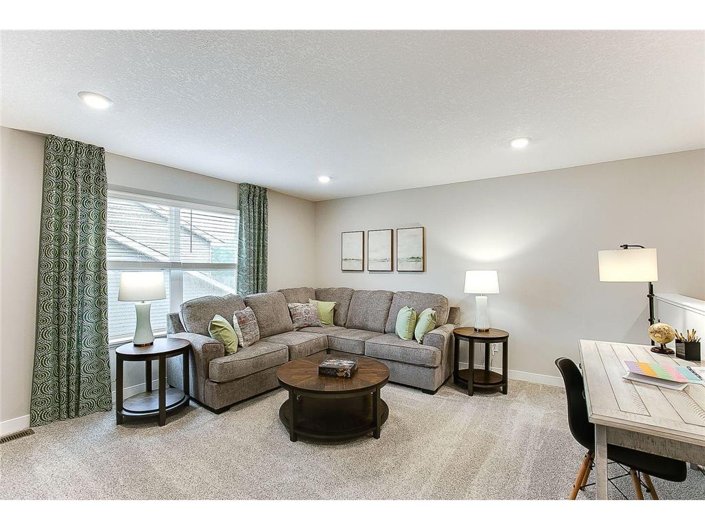 1737 Oak Creek Pass Chaska MN 55318 6818591 image18