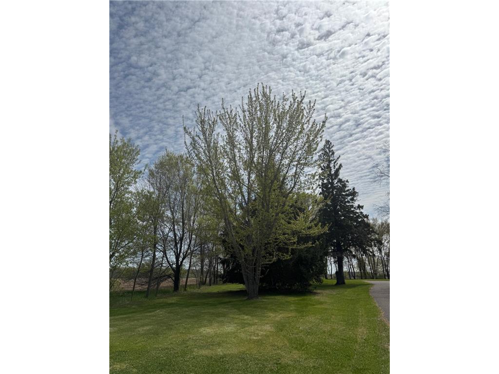17370 65th Street NE Oak Park MN 56357 7069453 image22