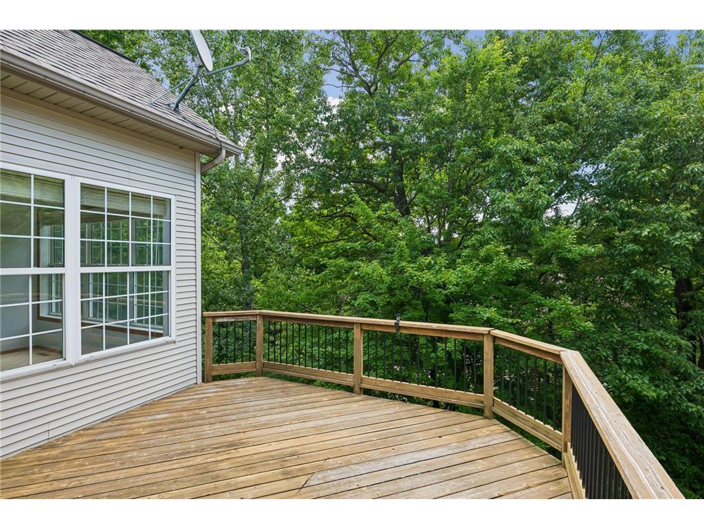 17383 Conifer Court Eden Prairie MN 55347 7097233 image23
