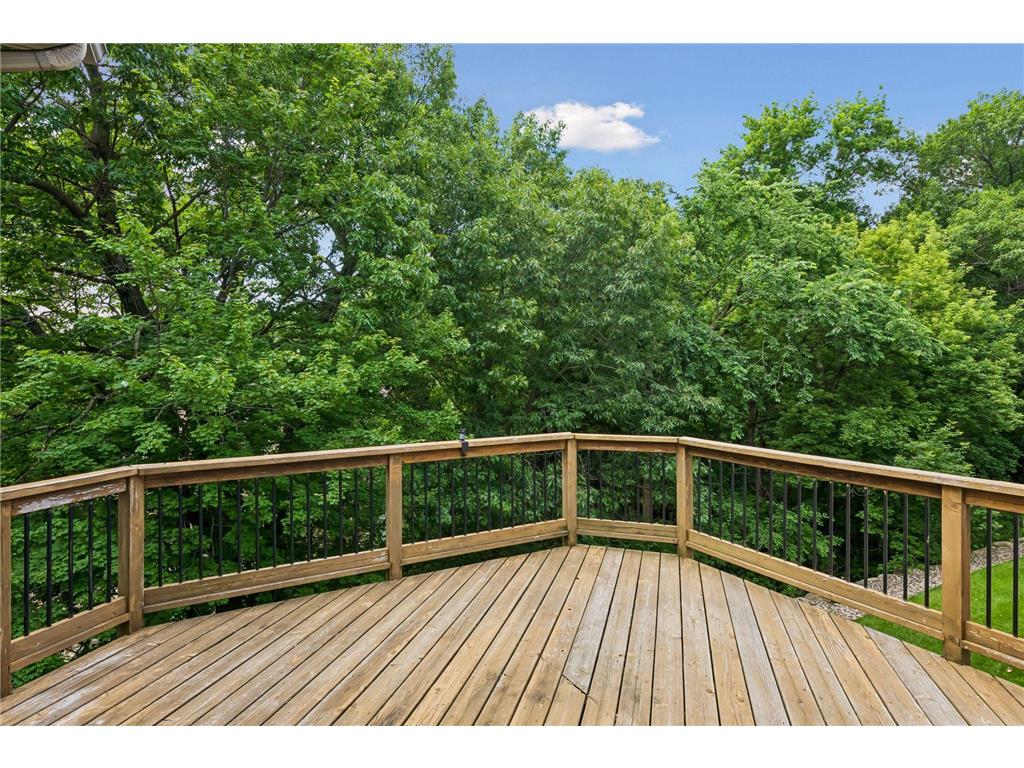 17383 Conifer Court Eden Prairie MN 55347 7097233 image24