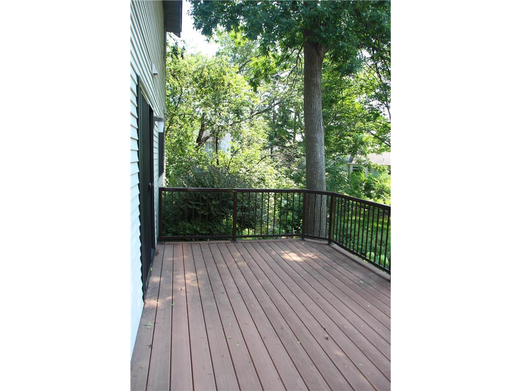 17384 Harding Lane Lakeville MN 55044 6823211 image49