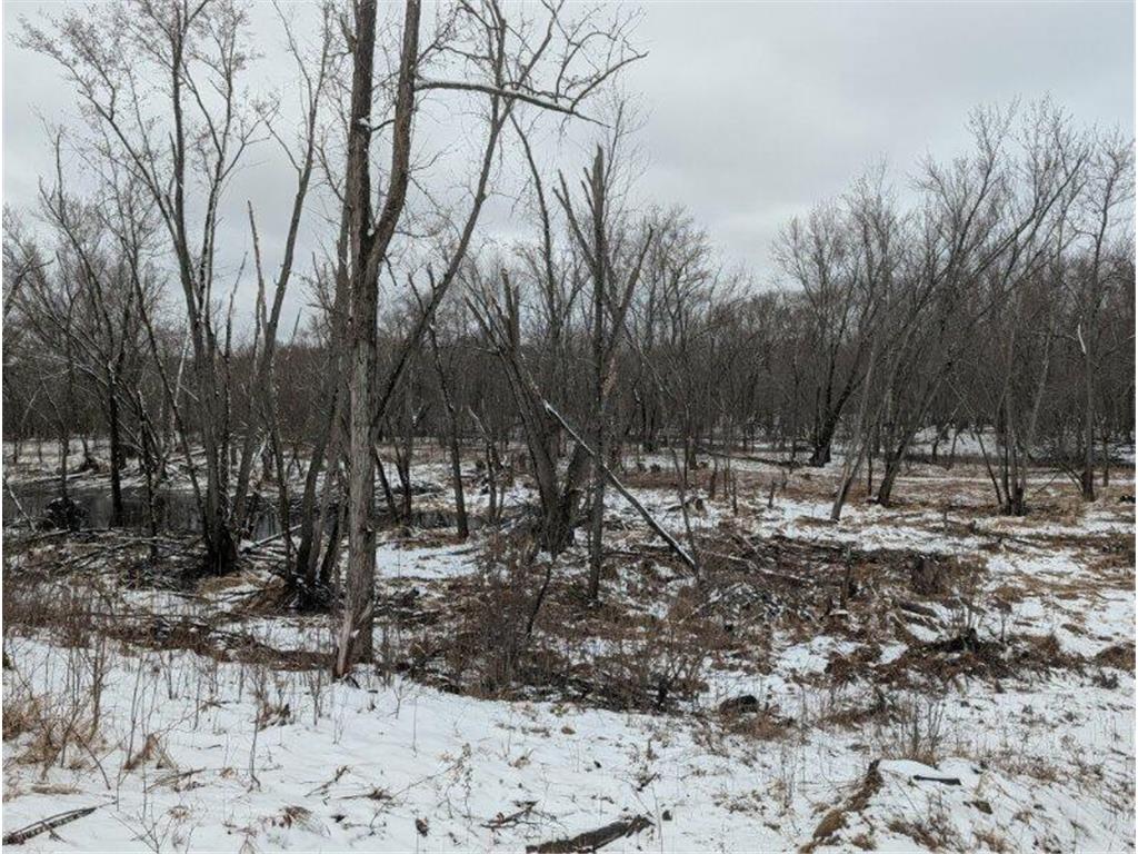 1739 Liberty Street Arthur Twp MN 55051 - Snake River 7053780 image1