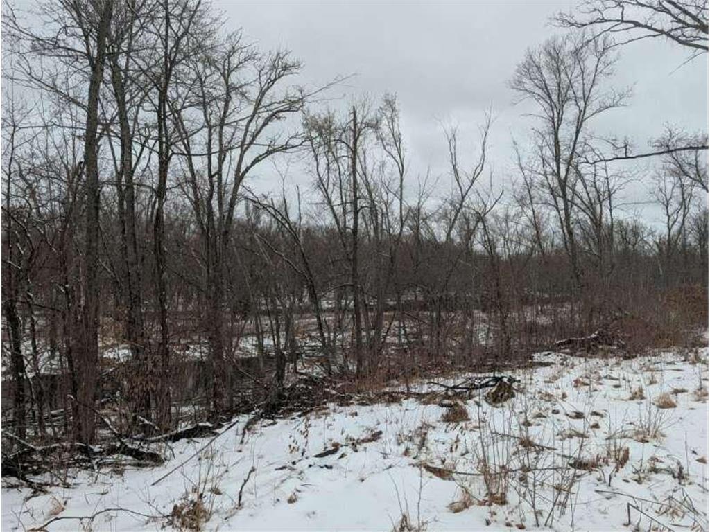 1739 Liberty Street Arthur Twp MN 55051 - Snake River 7053780 image2