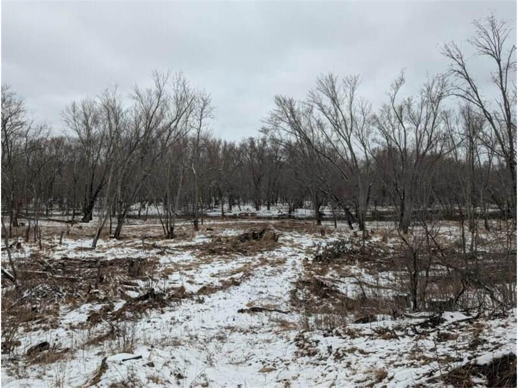 1739 Liberty Street Arthur Twp MN 55051 - Snake River 7053780 image3