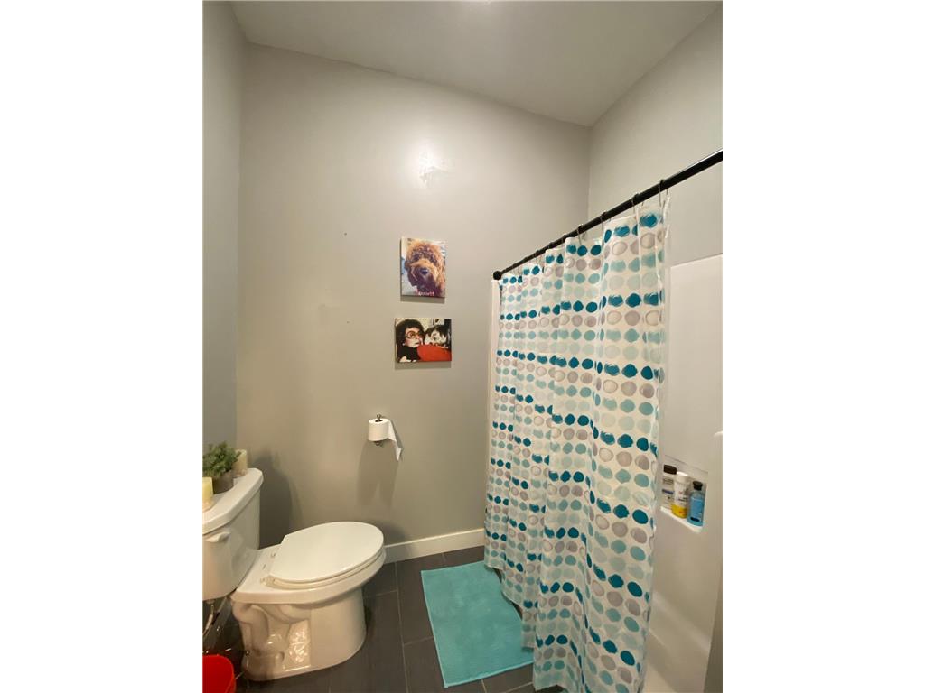 1740 Bay Oaks Drive Albert Lea MN 56007 6778473 image31