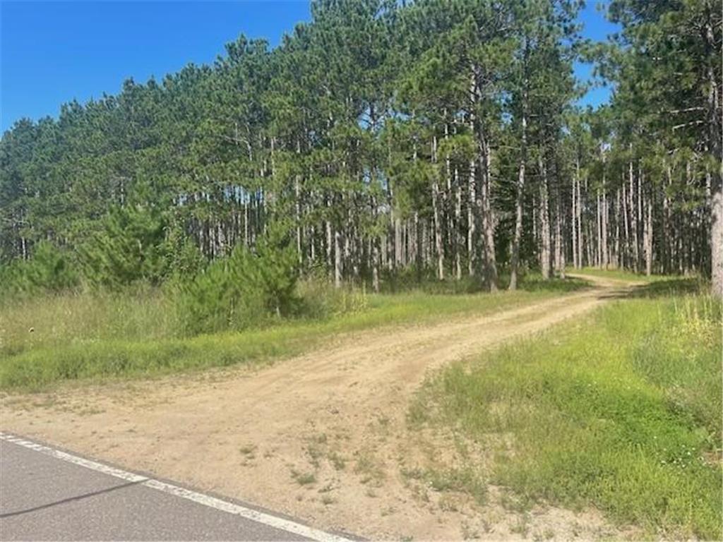 17410 County 107 Park Rapids MN 56470 6775488 image1