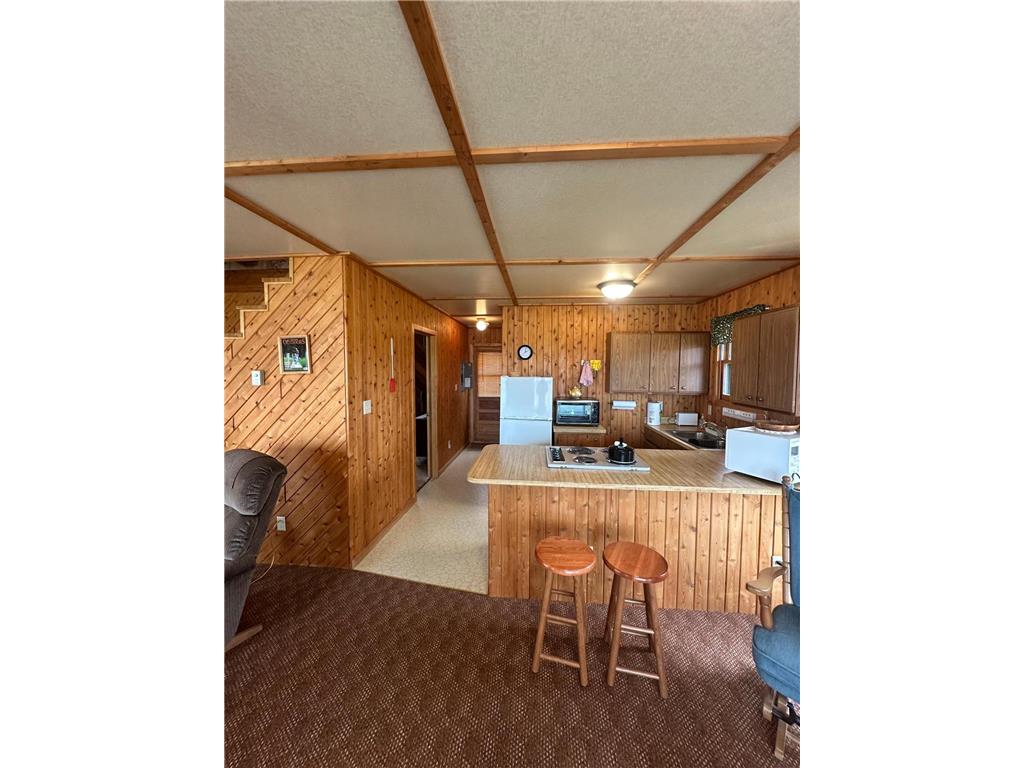 17413 E Pine Drive NW Angle Twp MN 56711 - Pine Creek 7080089 image12