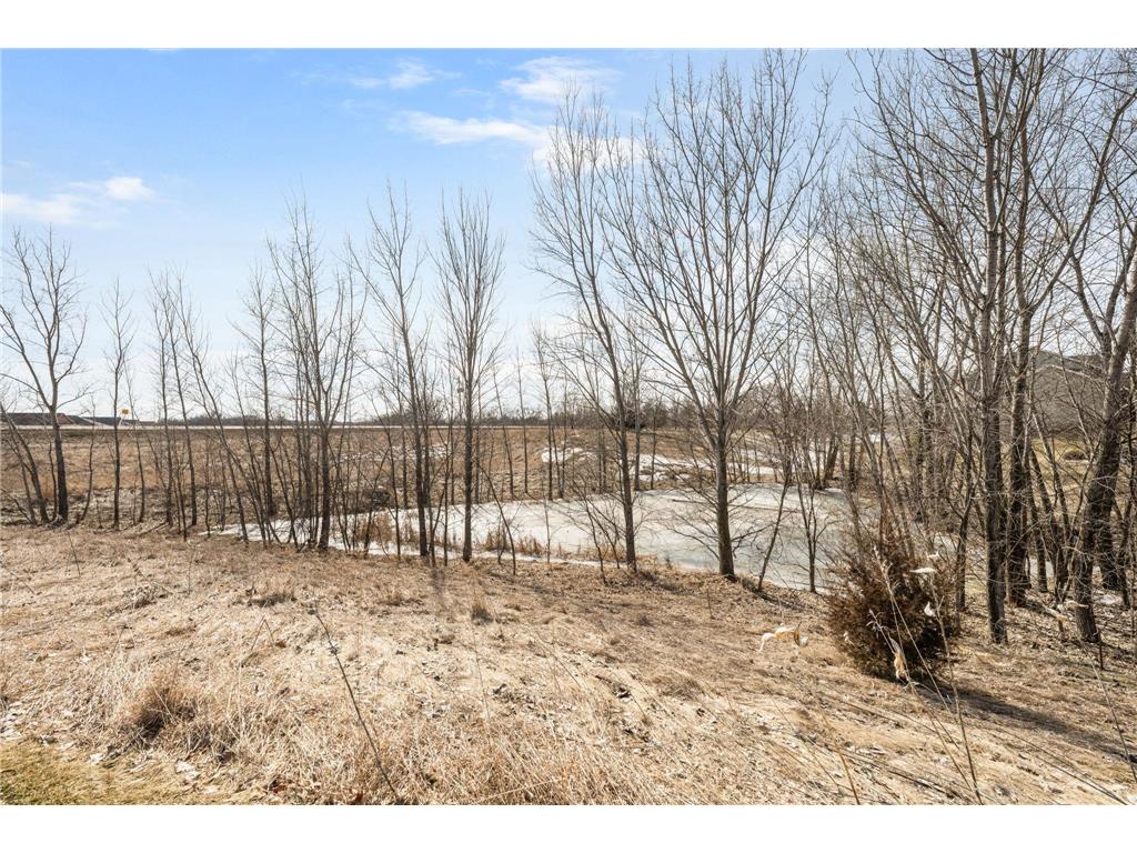 17425 54th Street NE Otsego MN 55374 7031688 image48
