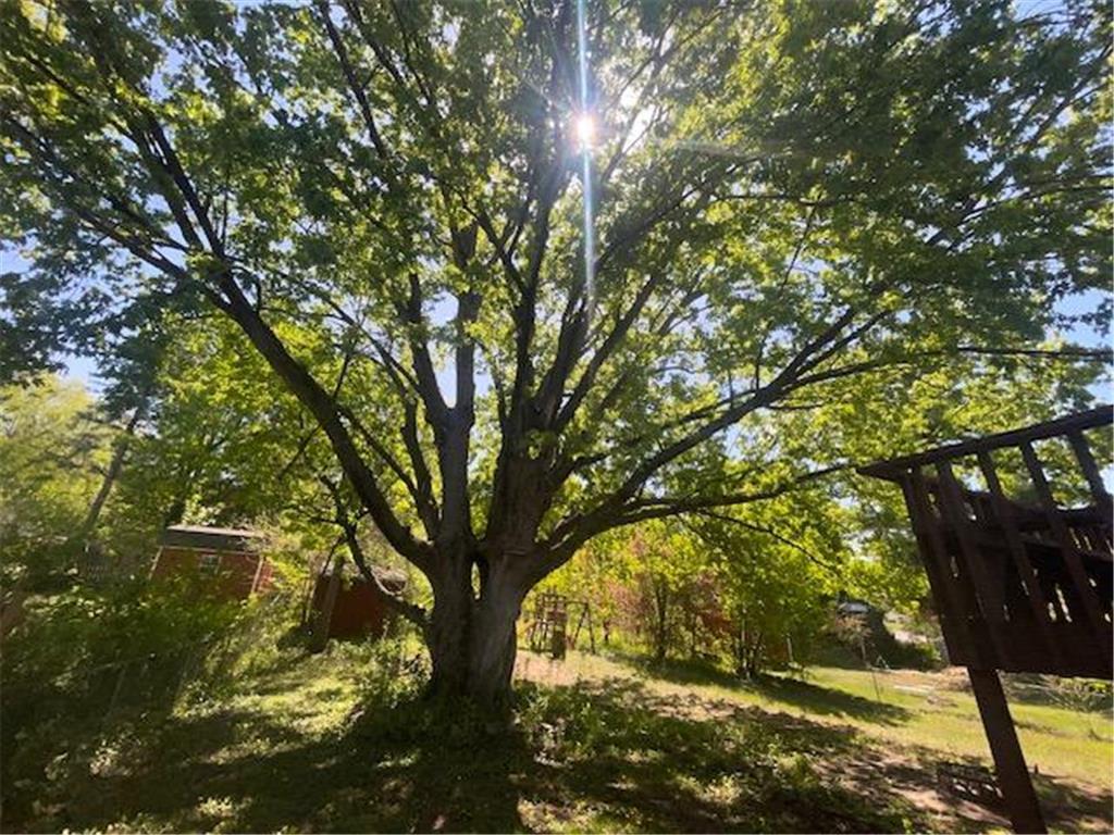 1743 Reichert Avenue Red Wing MN 55066 7073909 image13