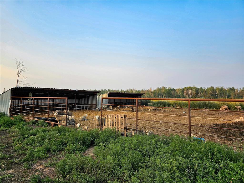 17430 280th St Sebeka MN 56477 6775379 image36