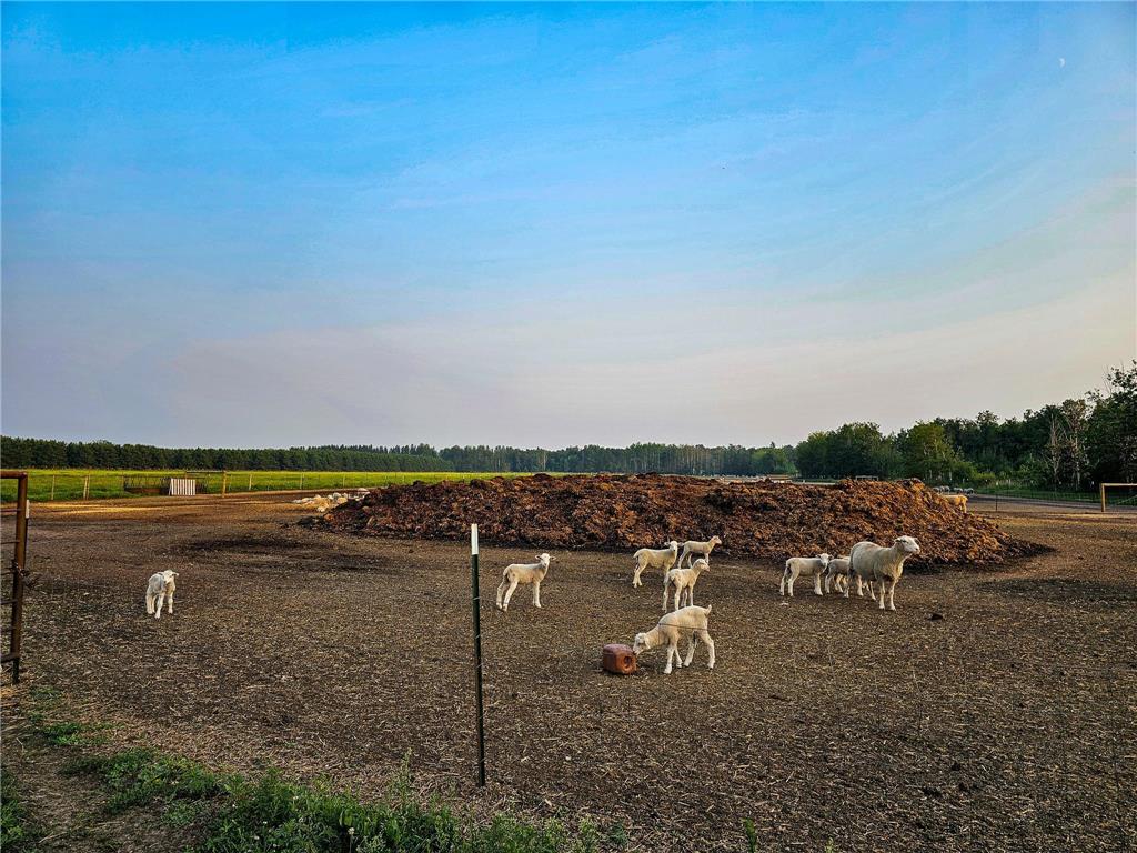 17430 280th St Sebeka MN 56477 6775379 image37