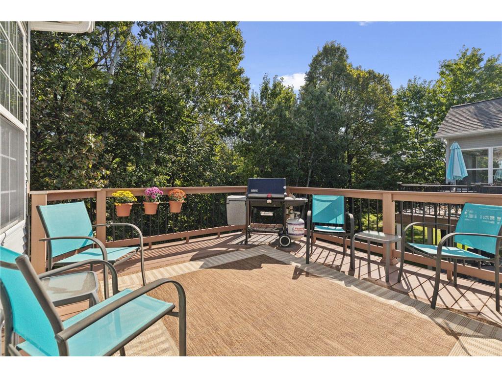 17448 Haralson Drive Eden Prairie MN 55347 7056833 image14