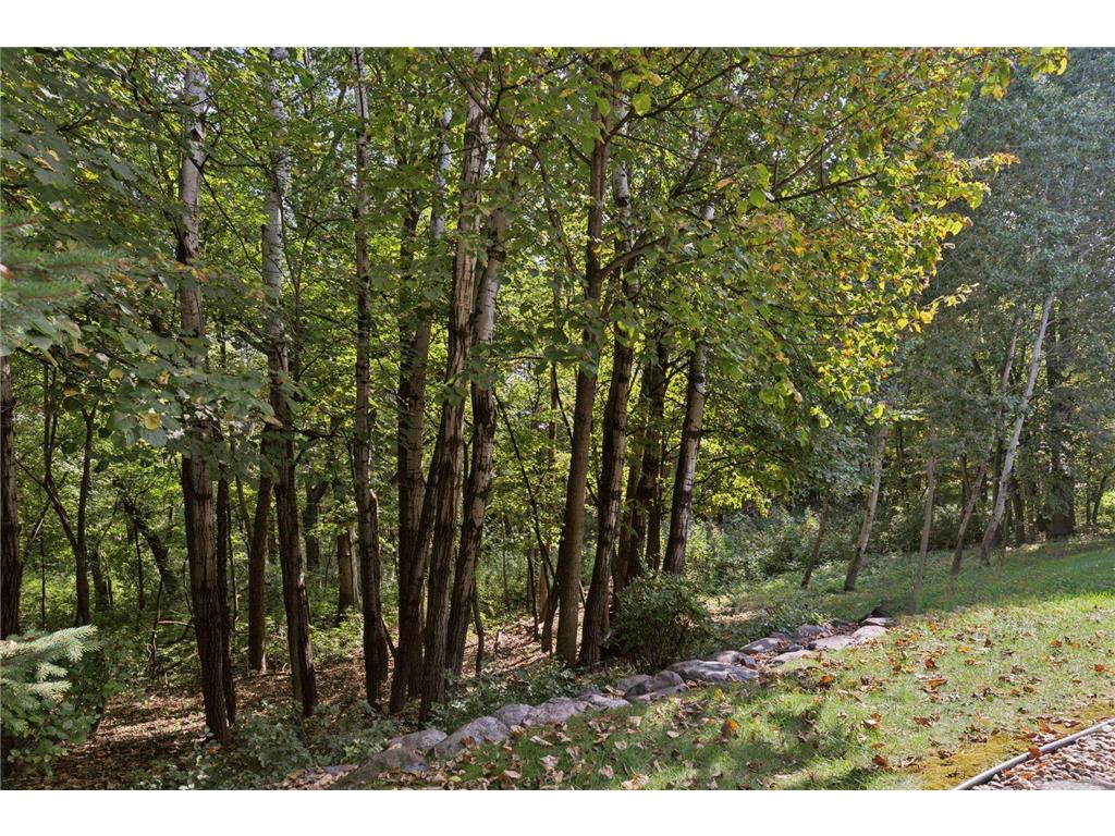 17448 Haralson Drive Eden Prairie MN 55347 7056833 image31